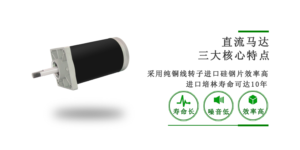 DH系列直流有刷电机 DH系列直流有刷电机