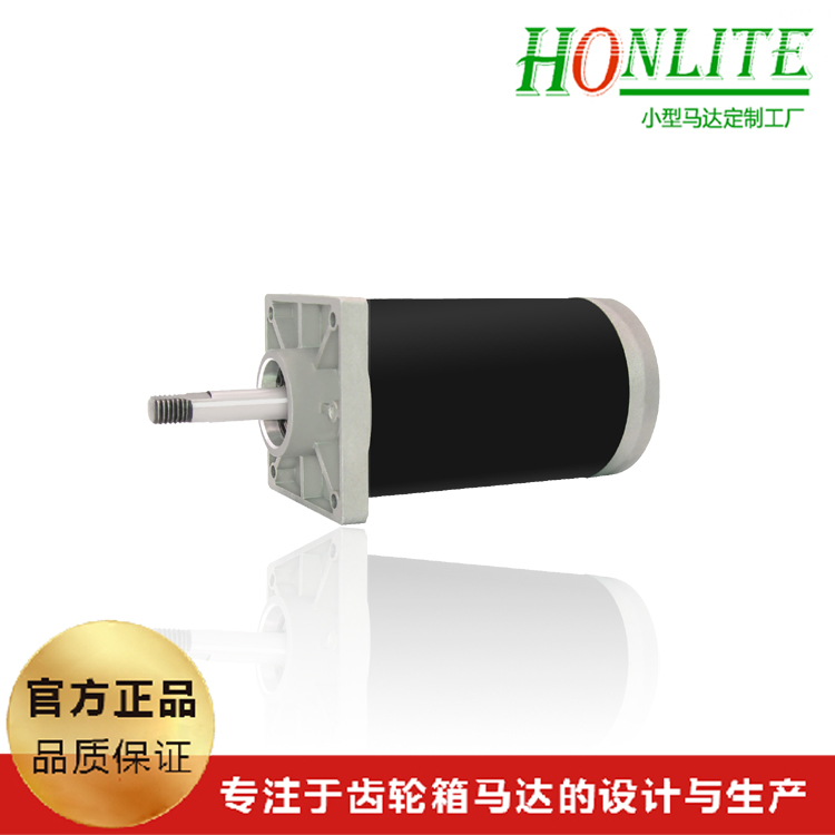 垃圾处理器直流电机