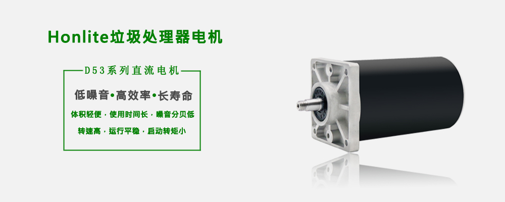 垃圾处理器永磁电机