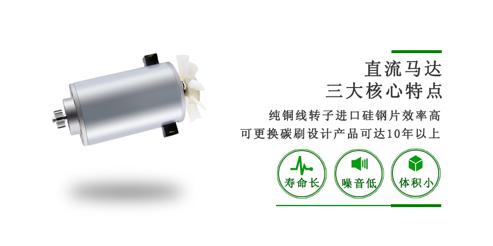 家用咖啡机直流电机 家用咖啡机直流电机
